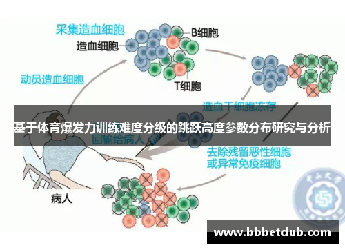 基于体育爆发力训练难度分级的跳跃高度参数分布研究与分析
